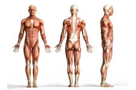 Exploring the Myths of Human Nature Image